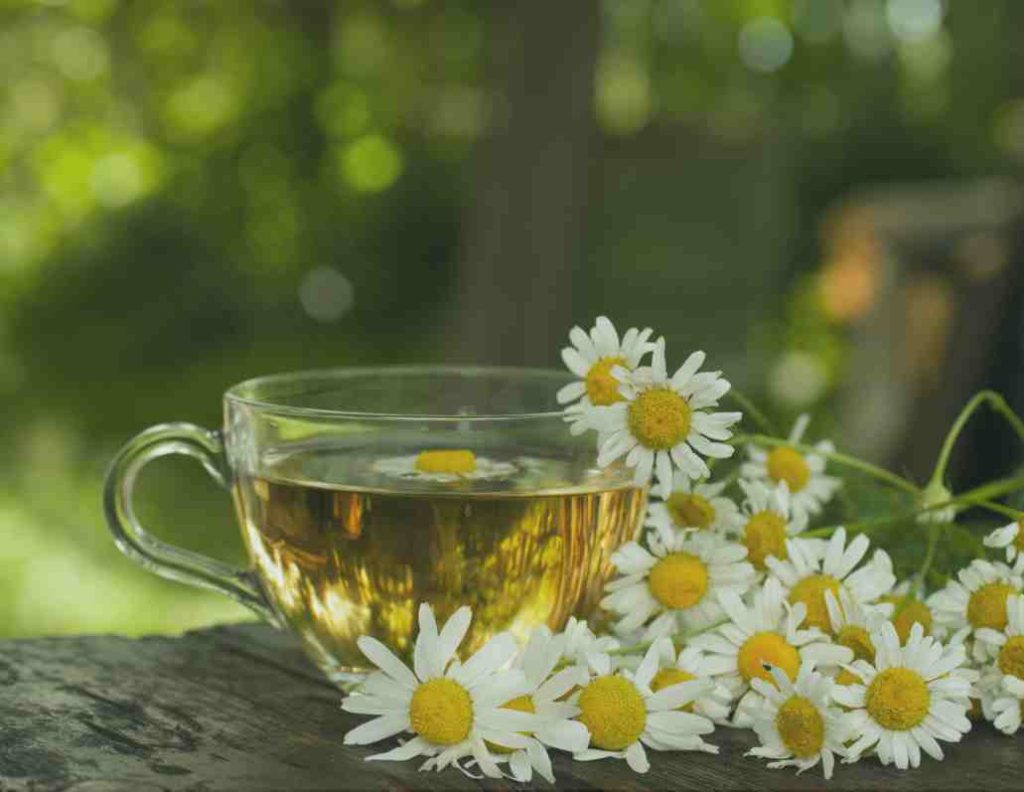 Chamomile Tea detox enema