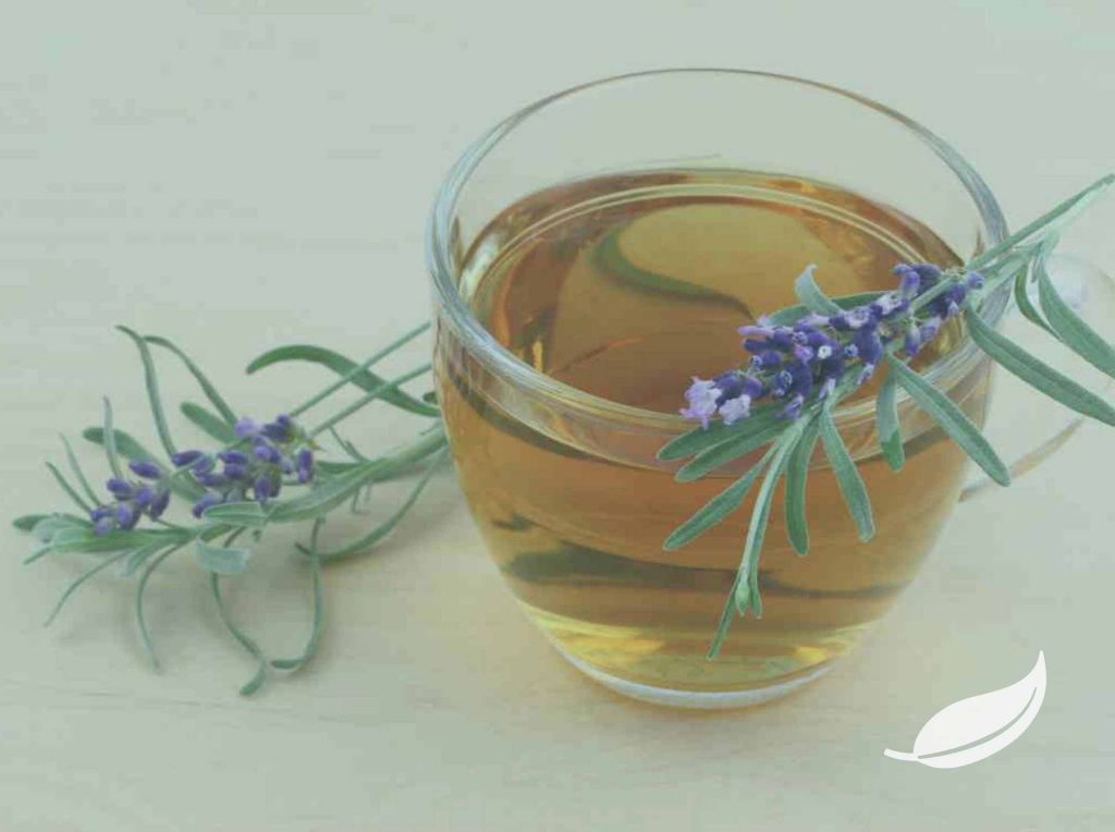 Best Enema Solutions